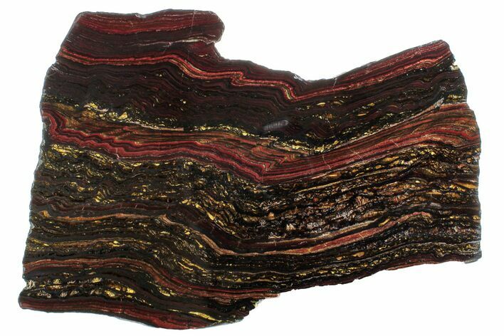 Polished Tiger Iron Stromatolite Slab - Billion Years #262007